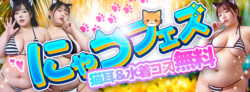 夏はたっぷり増量中🔥【にゃつ🐈フェス】